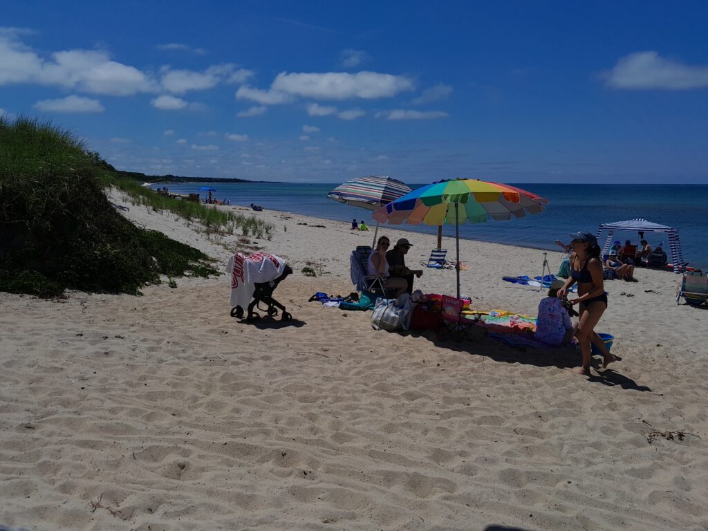 people on the beach (MyCoast AI)