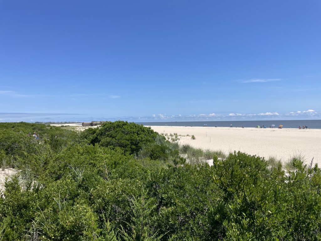 a landscape with trees and bushes (MyCoast AI)