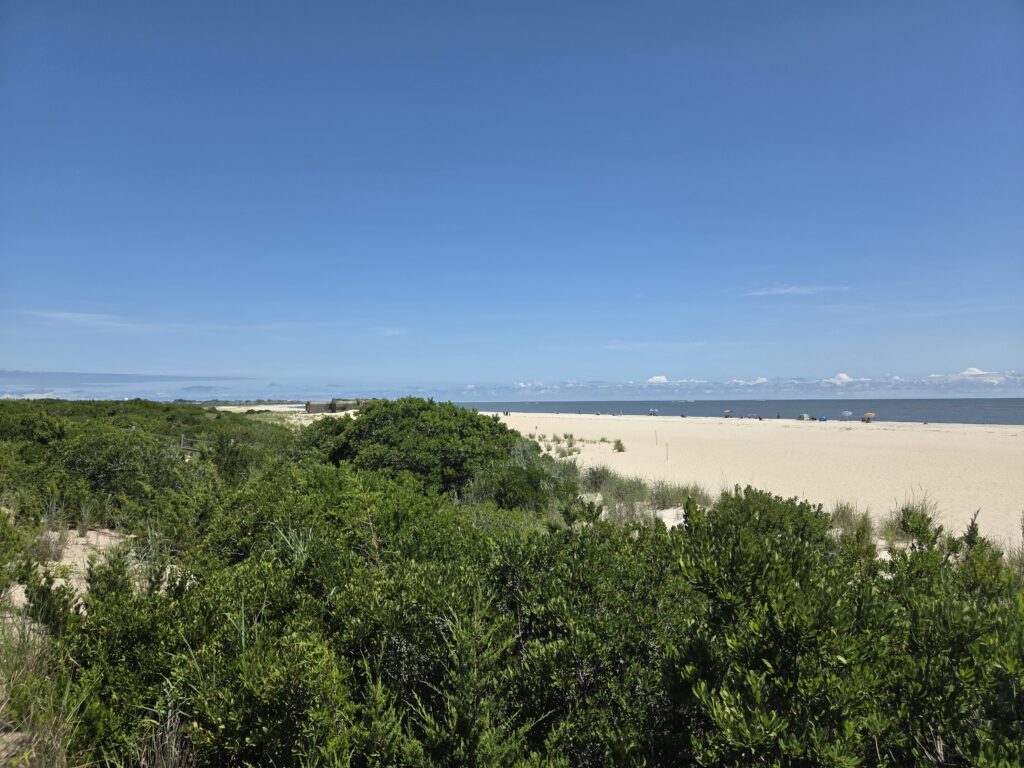 a landscape with trees and a body of water in the background (MyCoast AI)