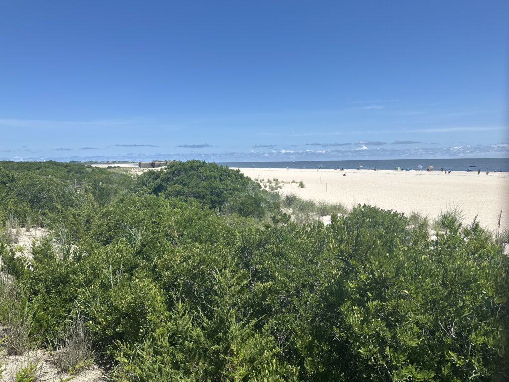 a beach with trees and water in the background (MyCoast AI)