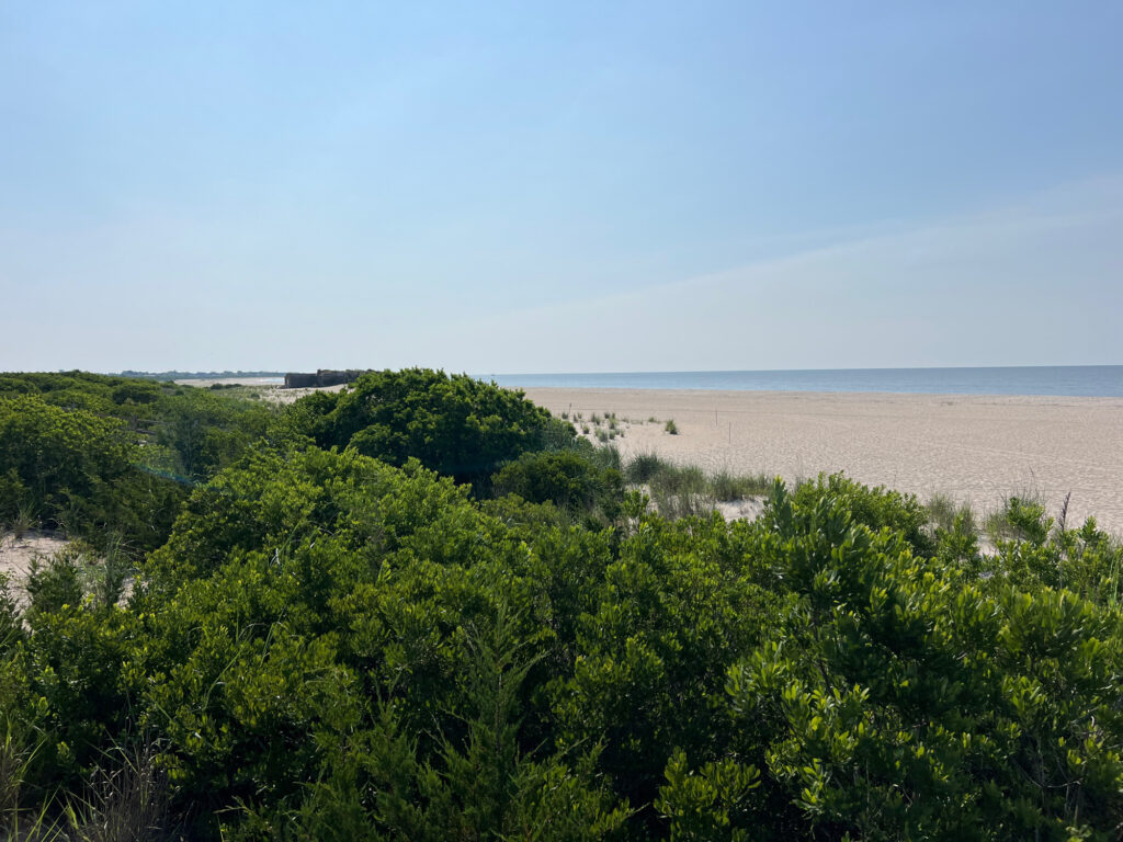 a landscape with trees and a body of water in the background (MyCoast AI)