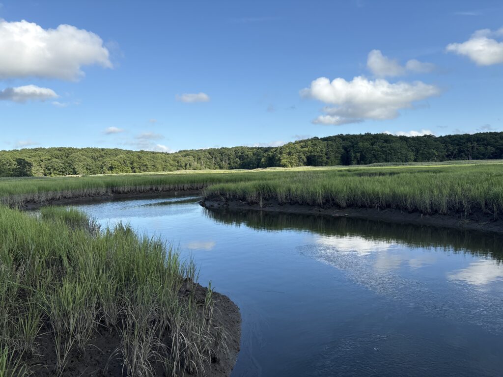 a body of water with grass and trees around it (MyCoast AI)