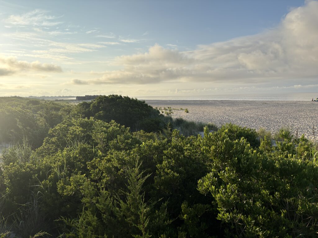 a body of water with trees around it (MyCoast AI)