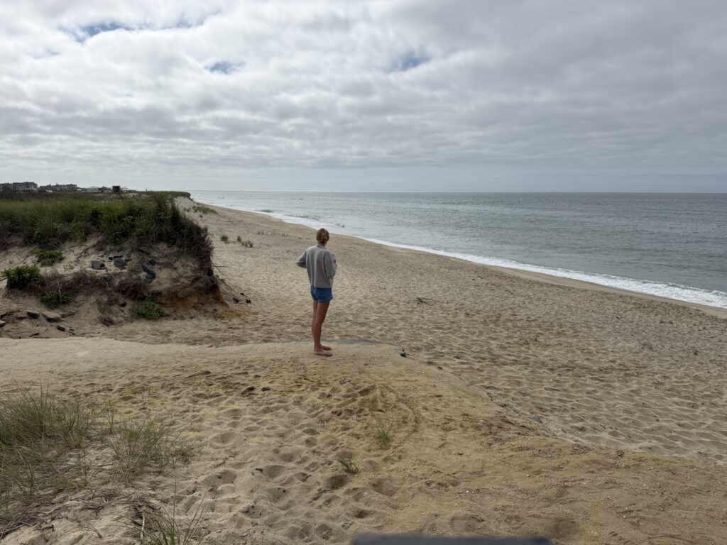 a person walking on a beach (MyCoast AI)