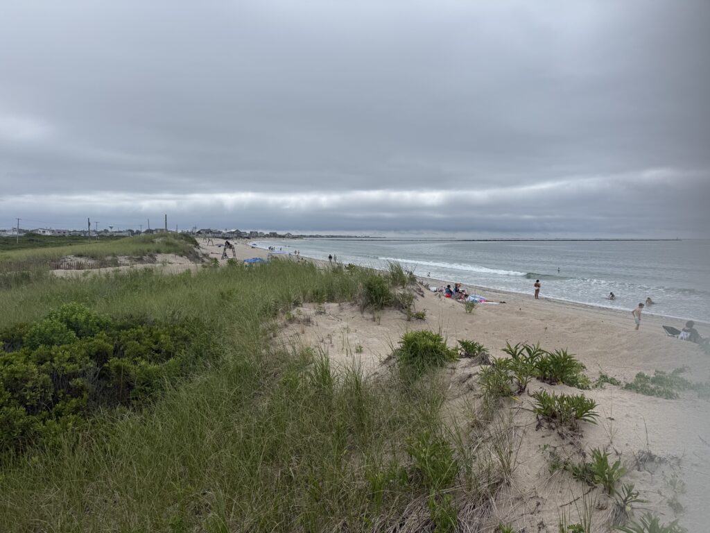 a beach with people on it (MyCoast AI)