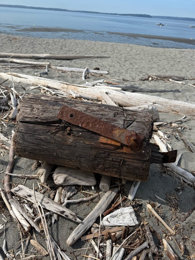 a pile of wood on a beach (MyCoast AI)