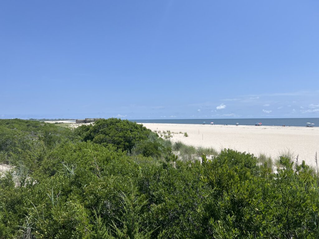 a beach with trees and water (MyCoast AI)
