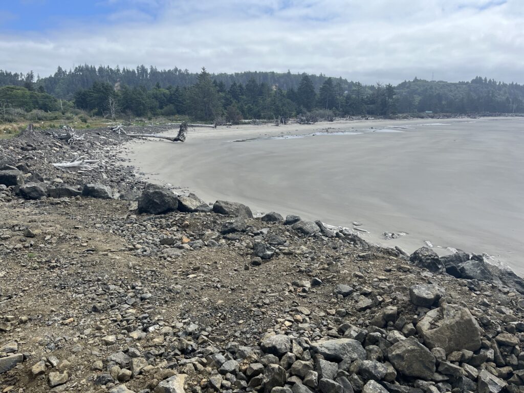 a rocky beach with trees in the background (MyCoast AI)