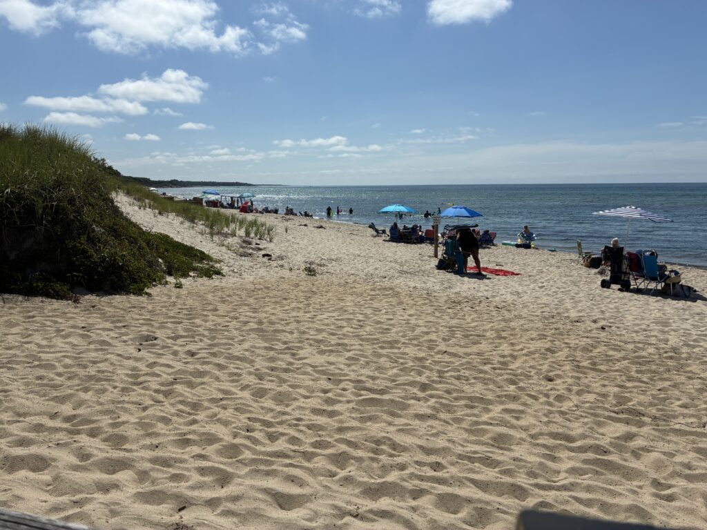 people on a beach (MyCoast AI)