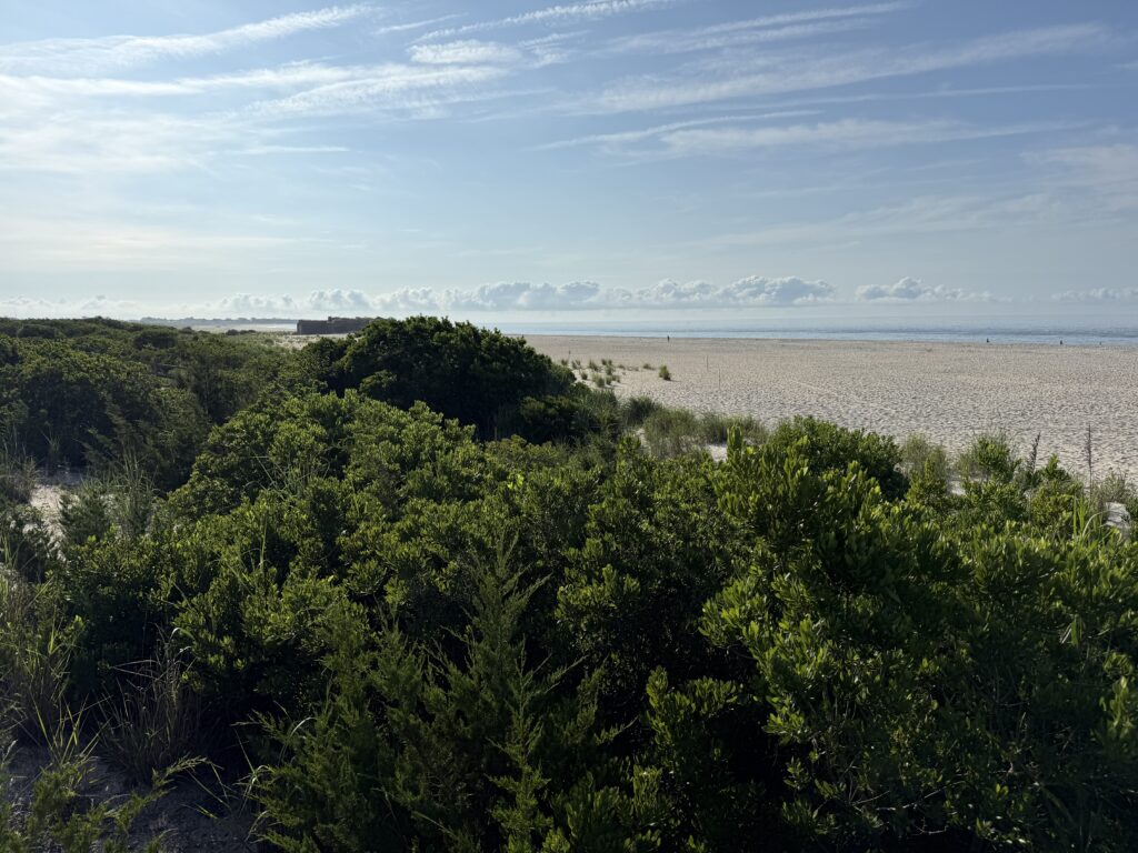 a beach with trees and water (MyCoast AI)