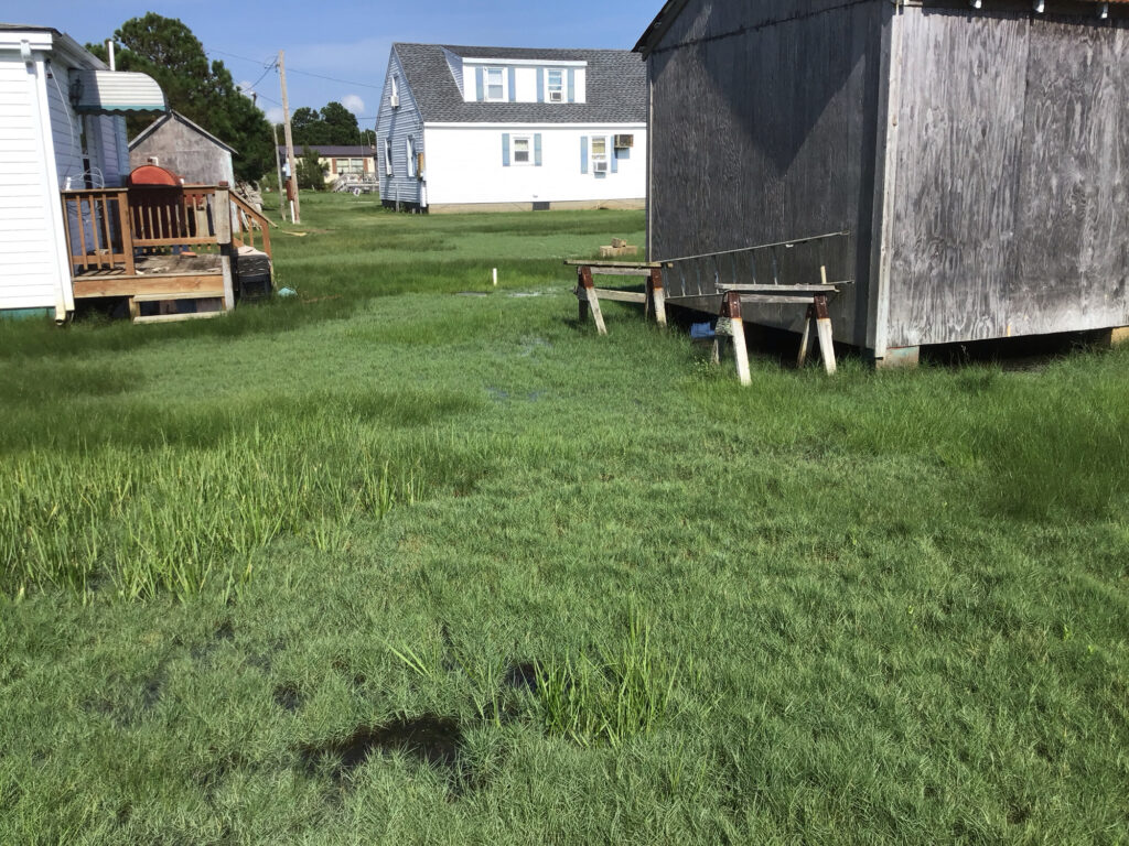 a grassy area with buildings in the background (MyCoast AI)