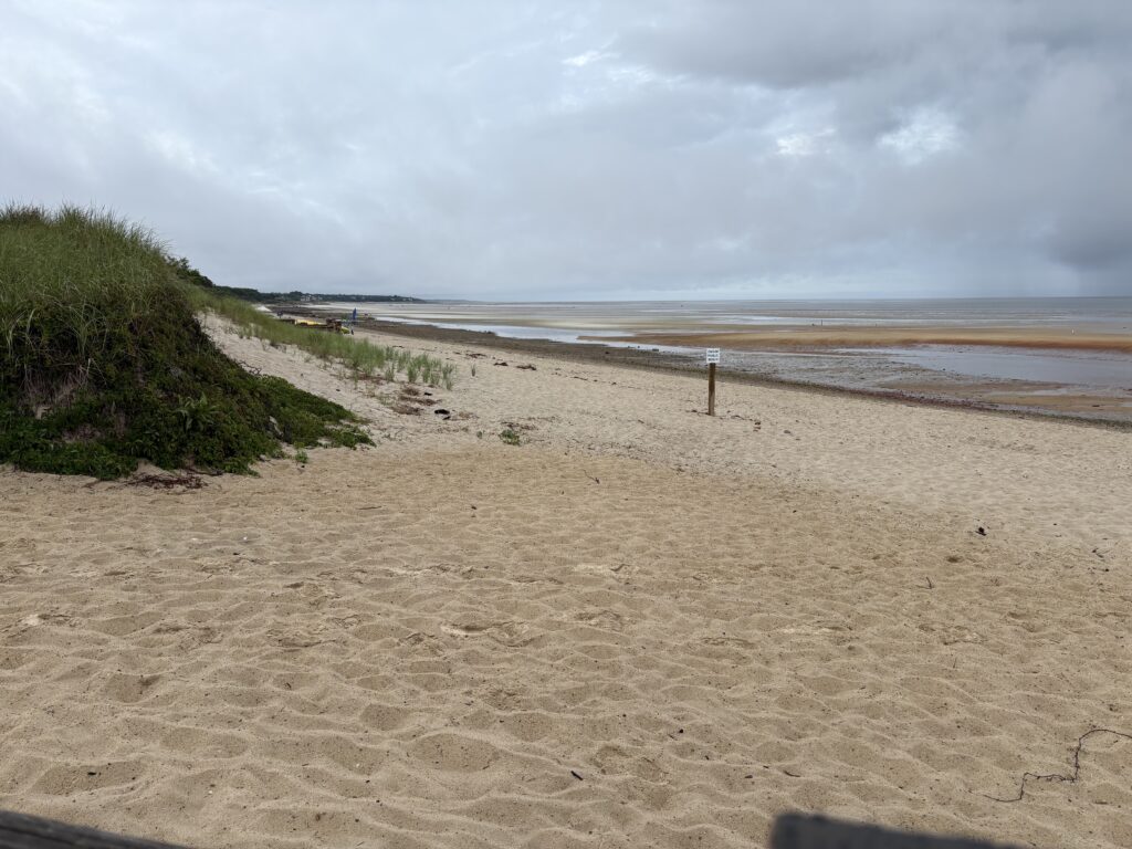 a sandy beach with bushes and a hill with a body of water in the background (MyCoast AI)
