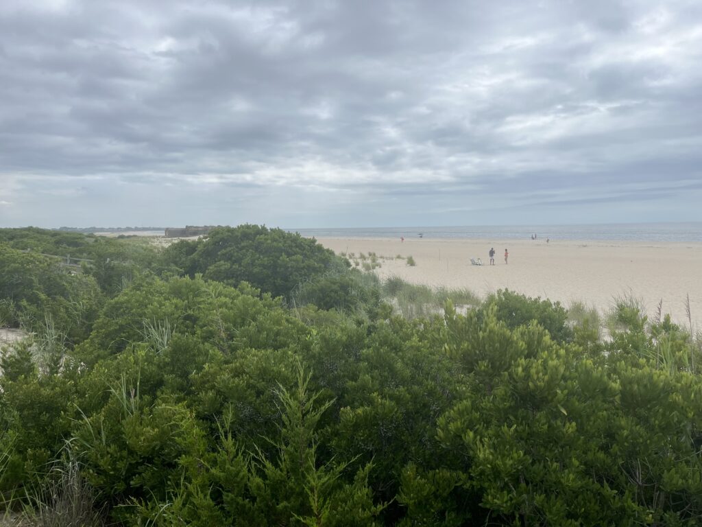 a group of people walking on a beach (MyCoast AI)