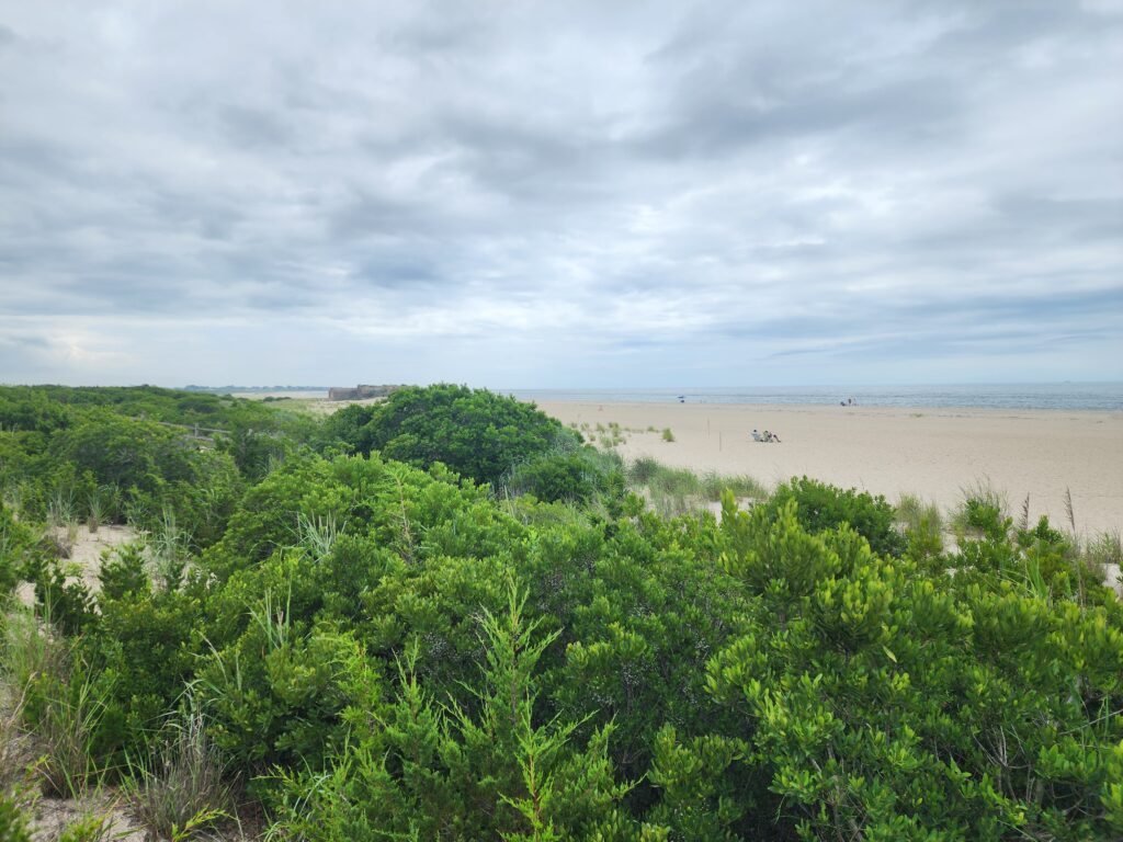 a beach with trees and bushes (MyCoast AI)