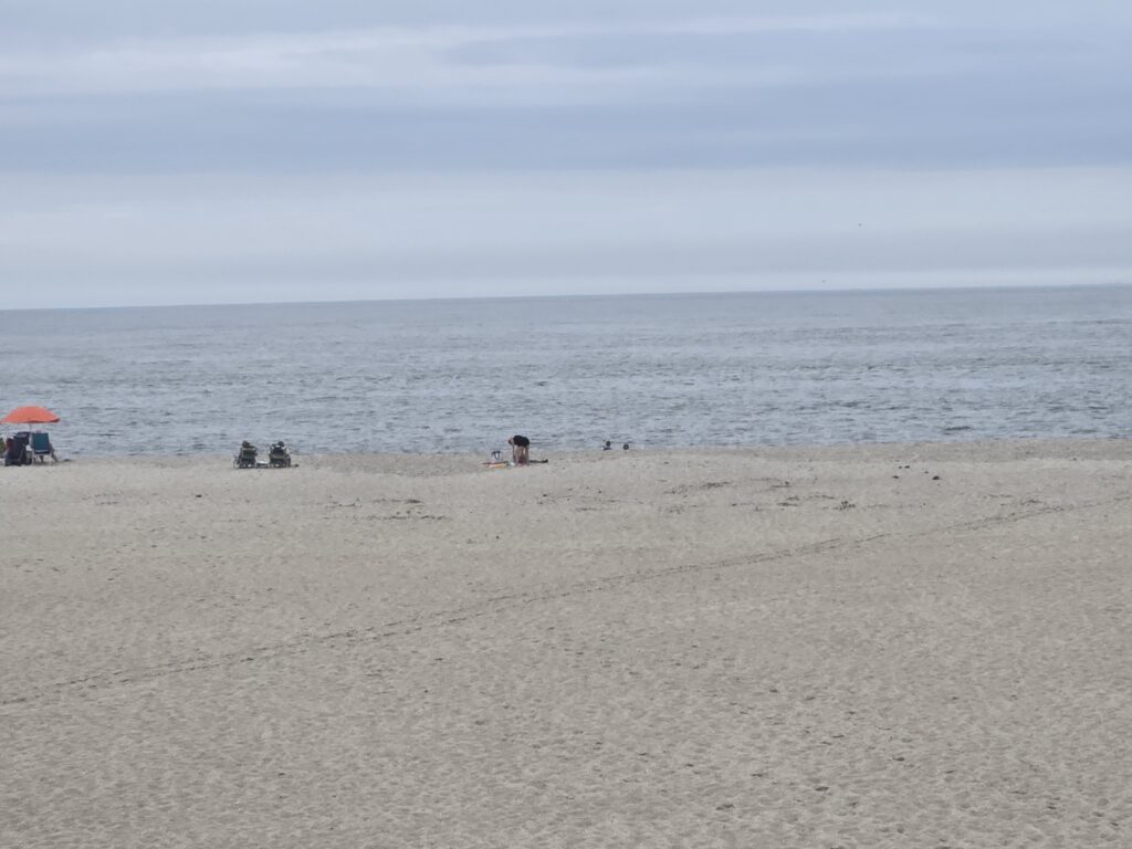 a beach with people and umbrellas (MyCoast AI)