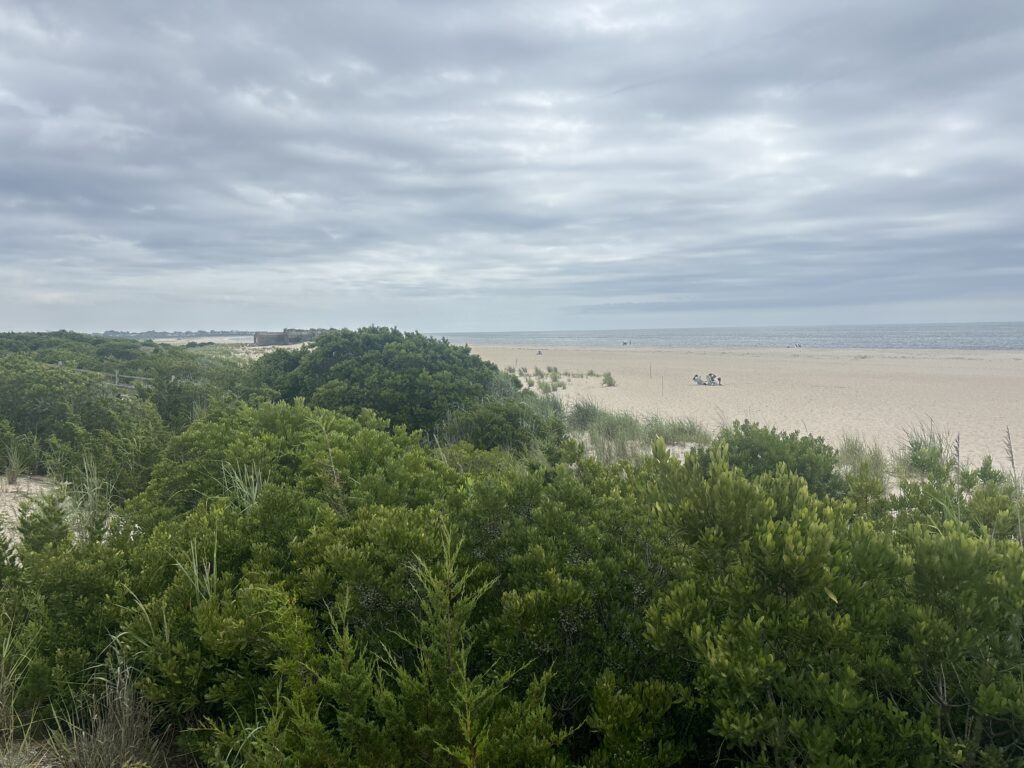 a landscape with trees and a body of water in the background (MyCoast AI)