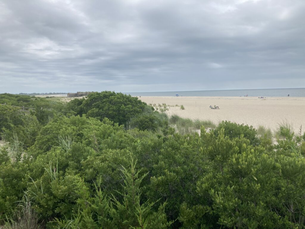 a field of green plants (MyCoast AI)