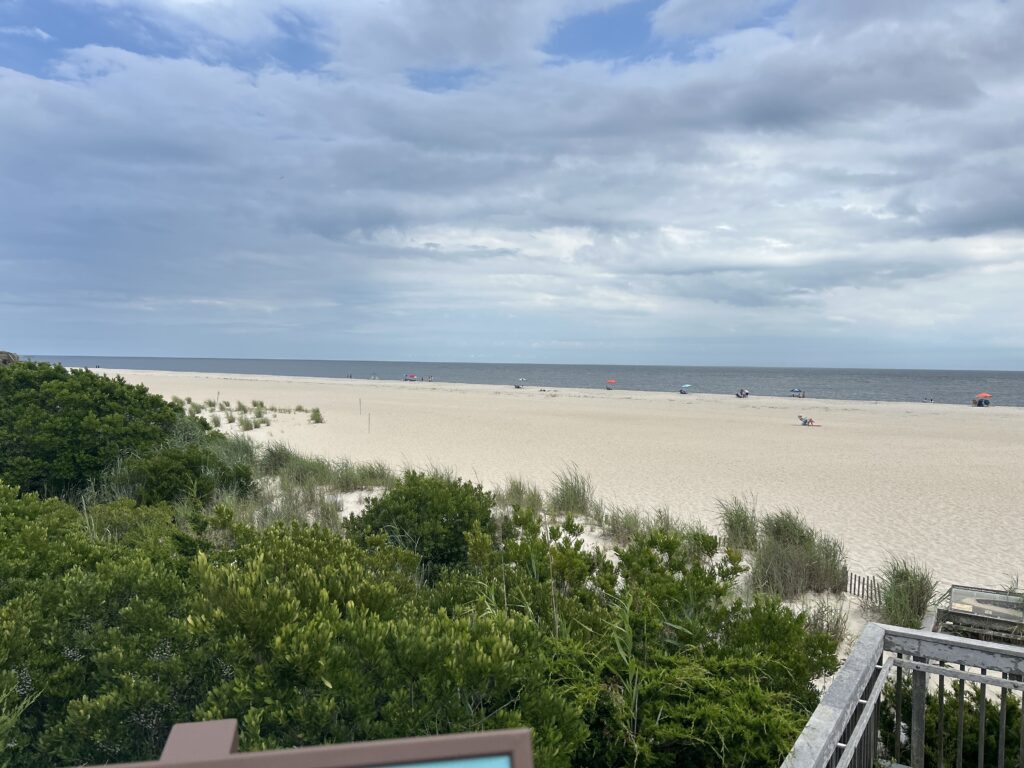 a beach with people on it (MyCoast AI)