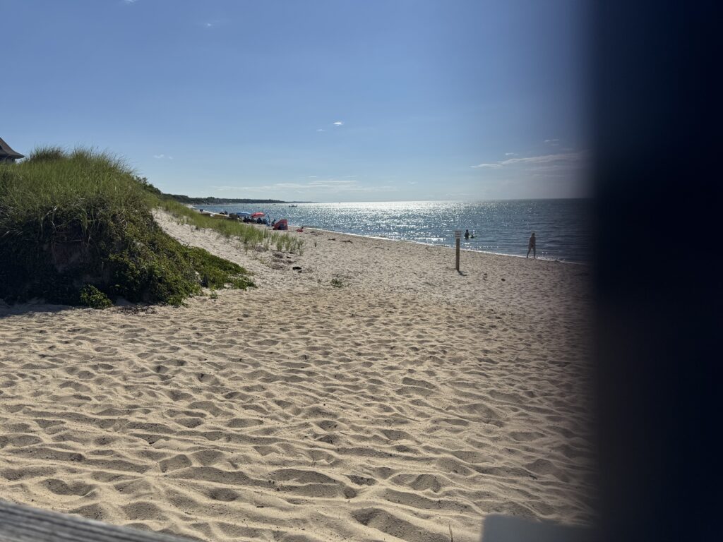 a sandy beach with people walking on it (MyCoast AI)