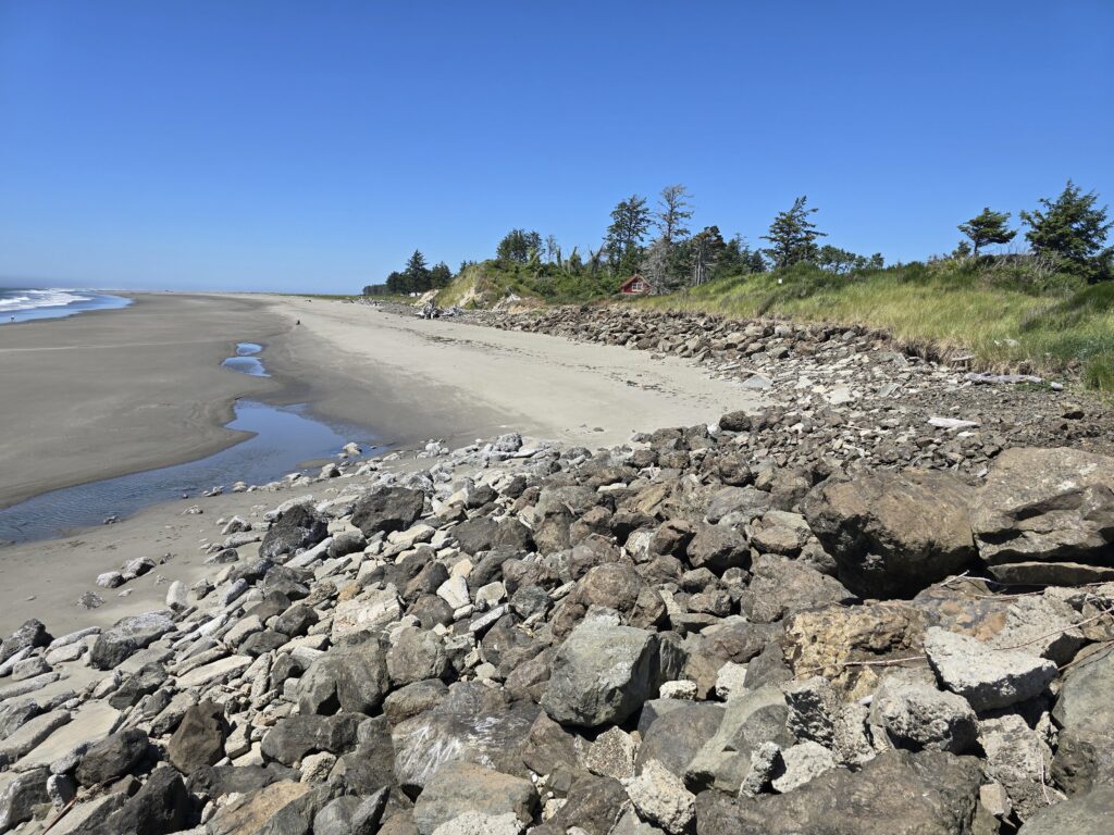 a rocky beach with trees and water (MyCoast AI)