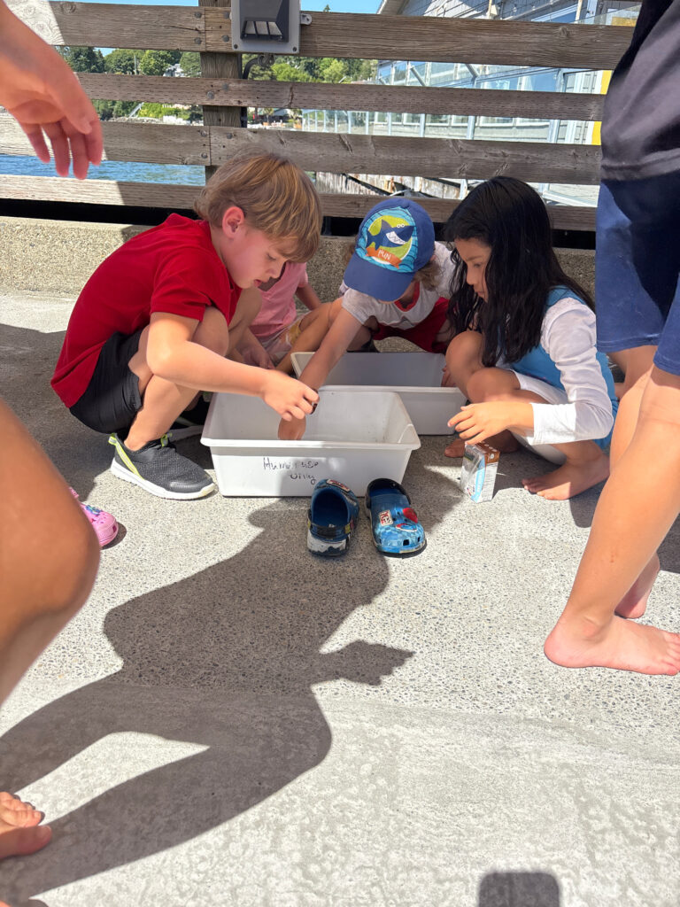 a group of people sitting on the ground (MyCoast AI)