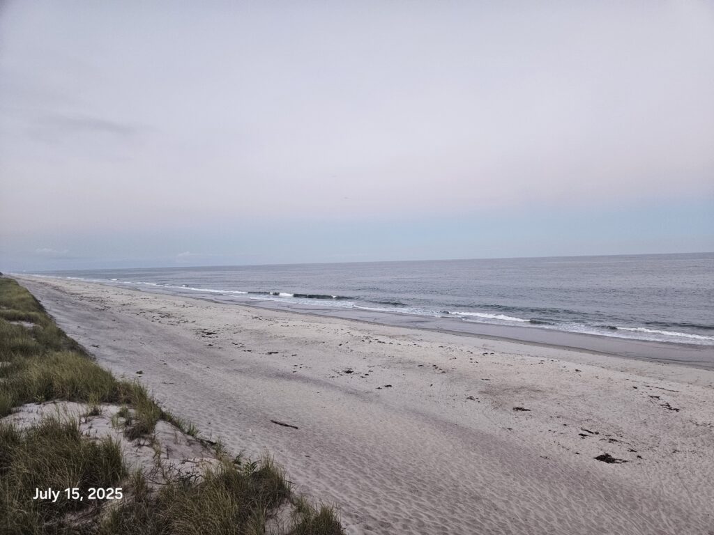a beach with waves crashing on it (MyCoast AI)