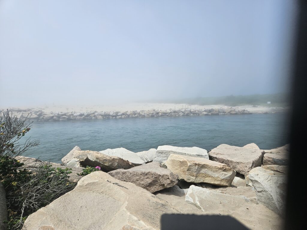 a rocky beach with a body of water in the background (MyCoast AI)