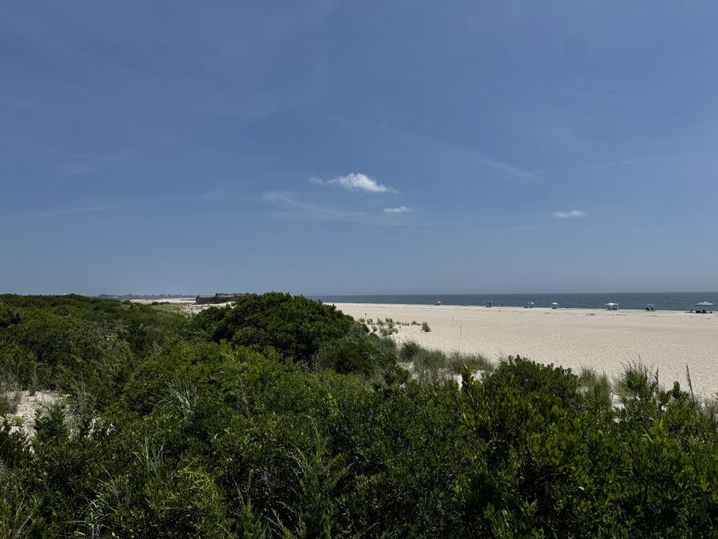 a beach with trees and bushes (MyCoast AI)