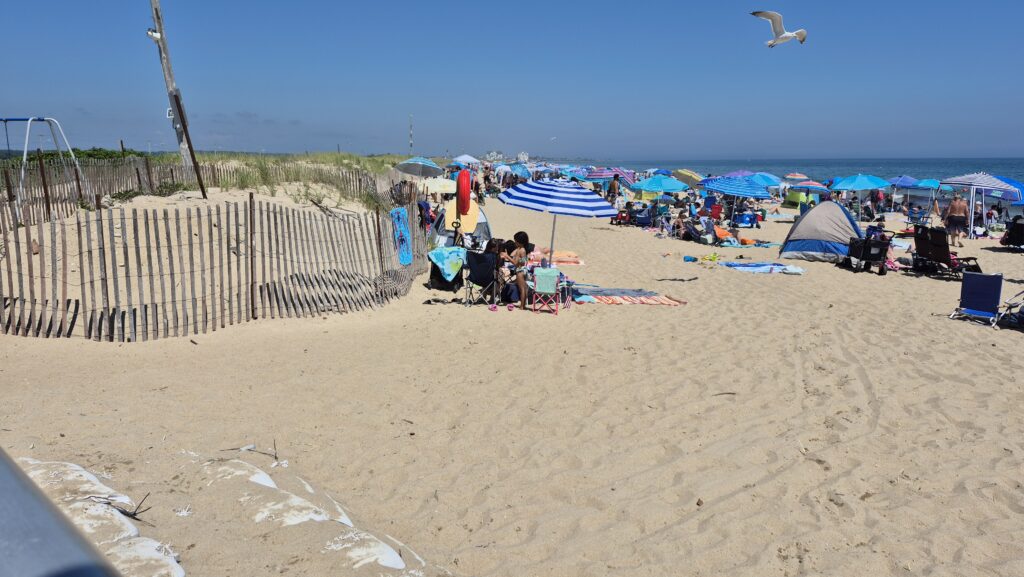 a beach with many people and umbrellas (MyCoast AI)