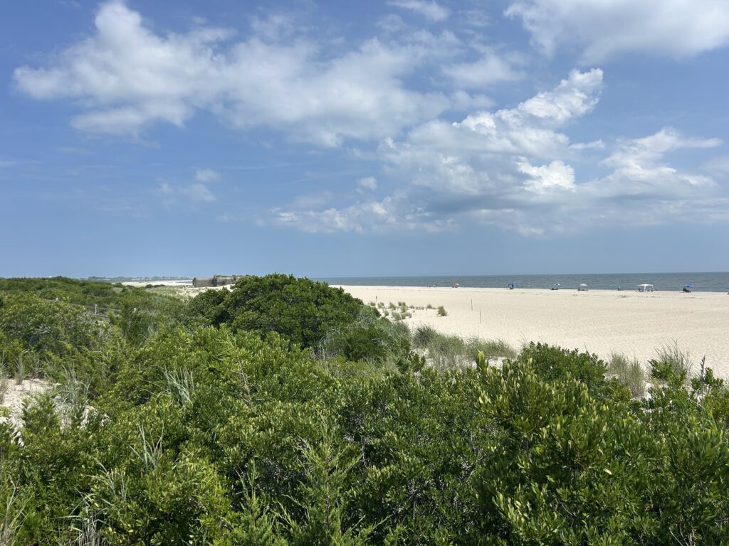 a beach with bushes and trees (MyCoast AI)