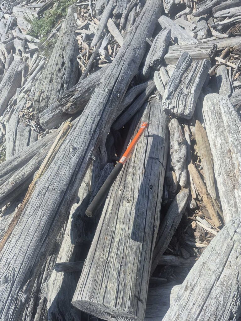 a close-up of a wooden fence (MyCoast AI)