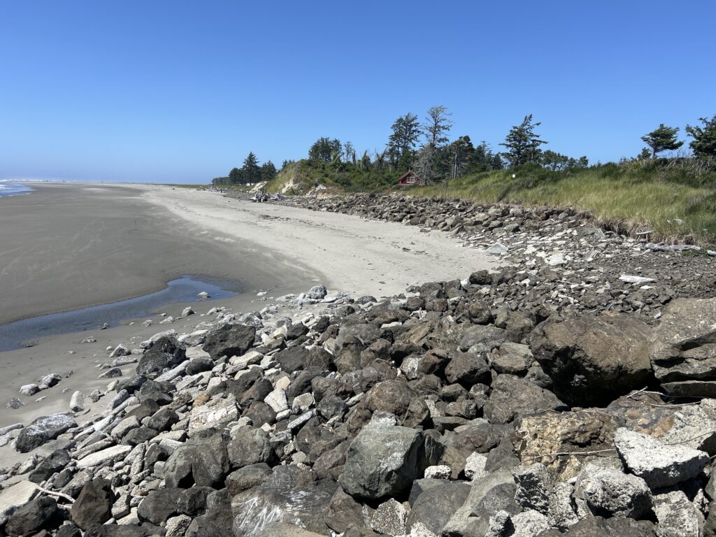 a rocky beach with trees and grass (MyCoast AI)