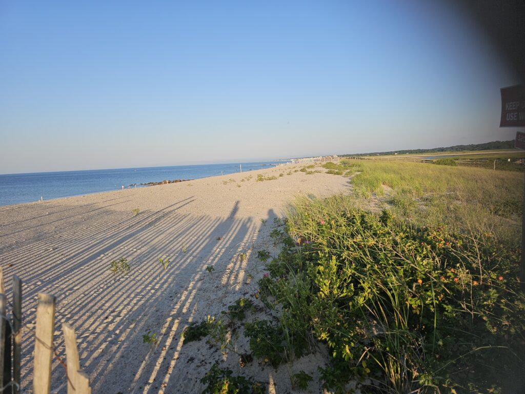a road next to a beach (MyCoast AI)