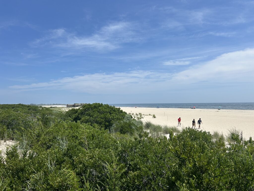 people walking on a beach (MyCoast AI)