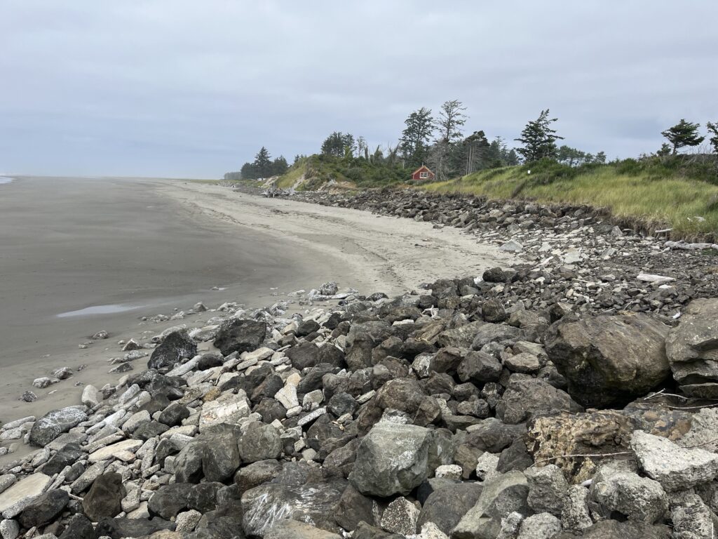a rocky beach with trees and a body of water in the background (MyCoast AI)