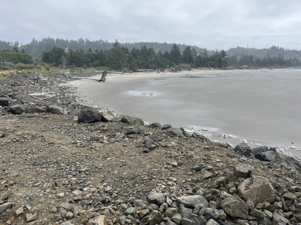 a rocky beach with a body of water and trees in the background (MyCoast AI)
