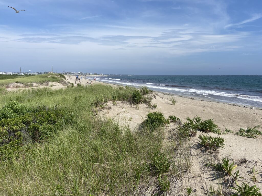 a beach with grass and sand (MyCoast AI)