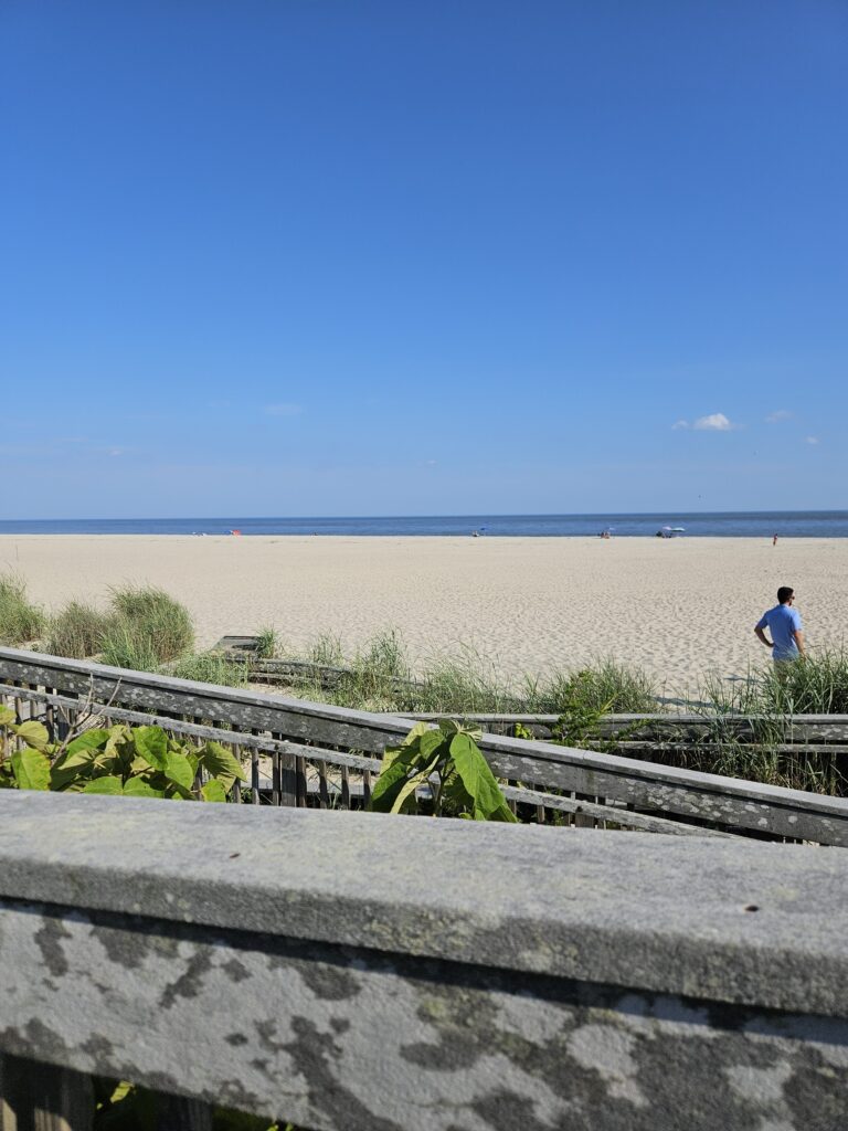 a person walking on a path near a beach (MyCoast AI)