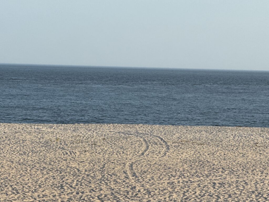 a beach with a heart drawn in the sand (MyCoast AI)