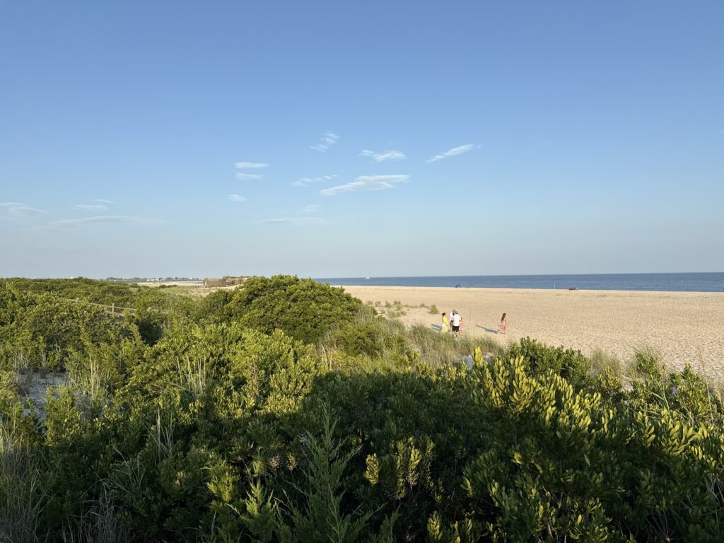 a group of people walking on a beach (MyCoast AI)