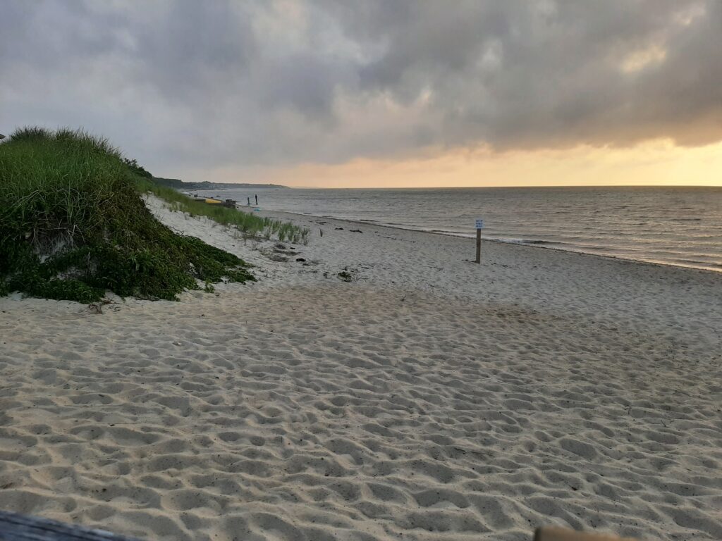 a sandy beach with a fence and bushes on the side (MyCoast AI)