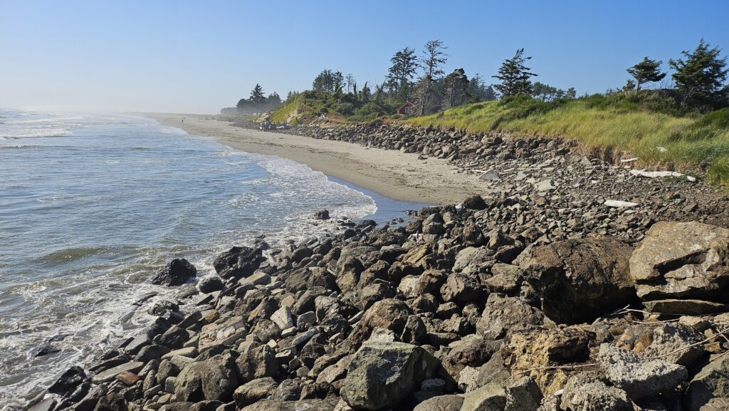 a rocky beach with trees and grass (MyCoast AI)