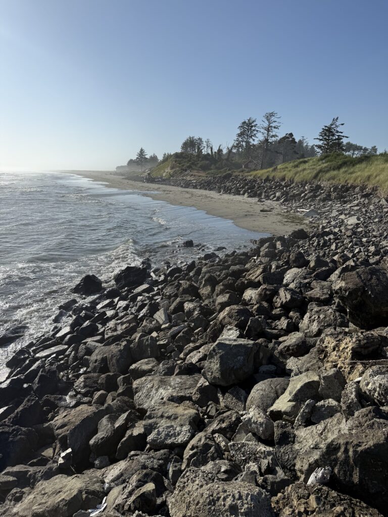 a rocky beach with trees and water (MyCoast AI)