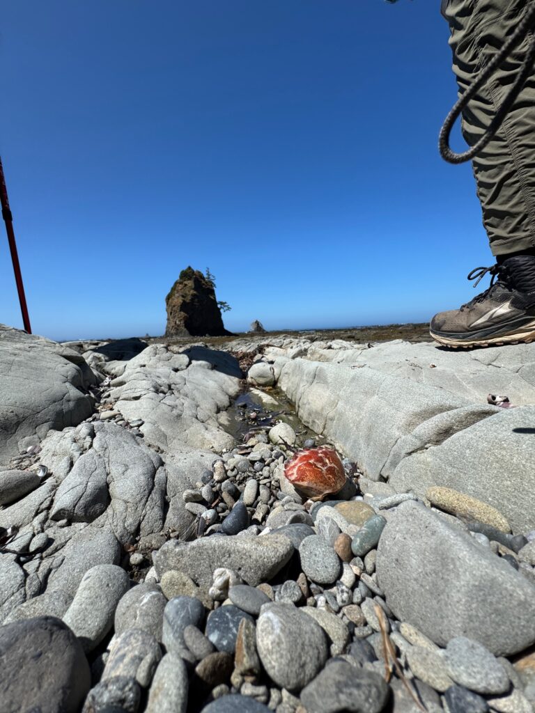 a person standing on a rocky surface (MyCoast AI)