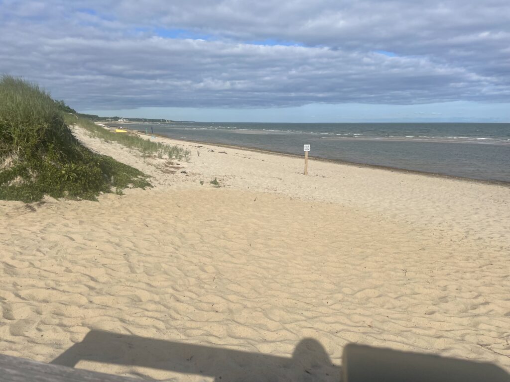 a sandy beach with a body of water in the background (MyCoast AI)