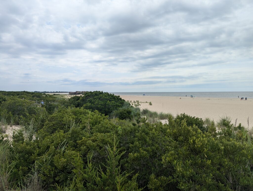 a beach with trees and bushes (MyCoast AI)