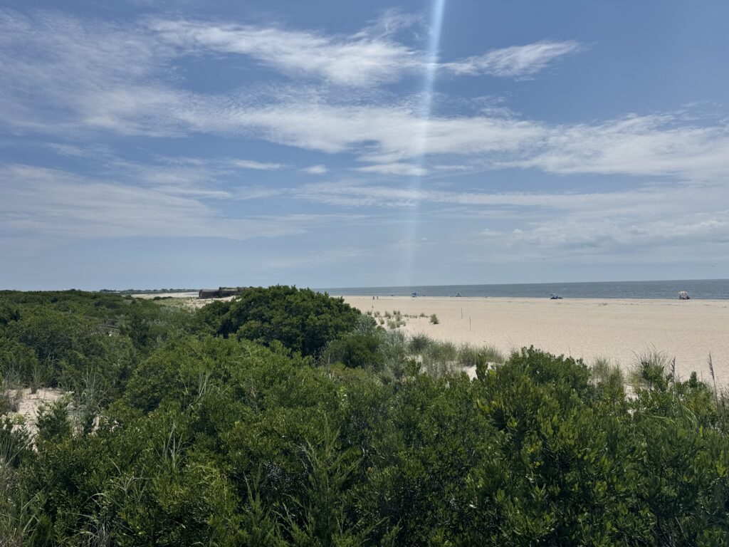 a landscape with trees and a body of water in the background (MyCoast AI)