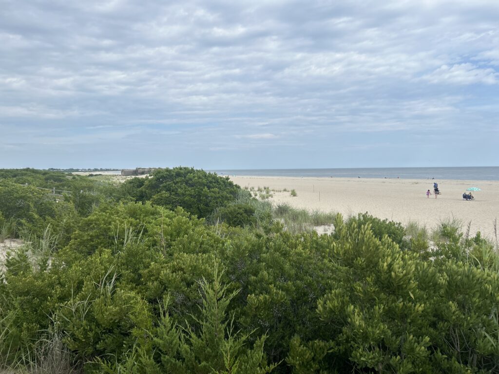 a beach with people and bushes (MyCoast AI)
