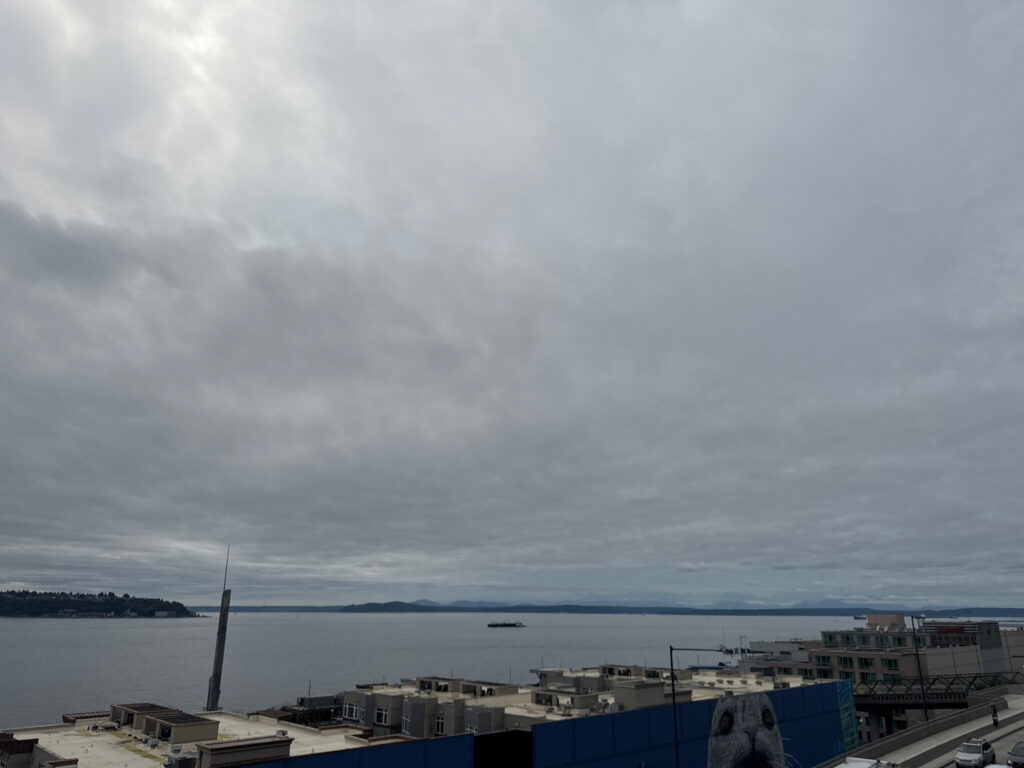 a city next to a body of water (MyCoast AI)