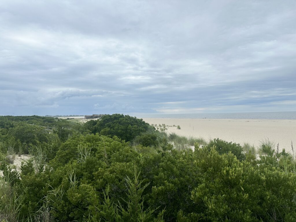 a landscape with trees and bushes (MyCoast AI)